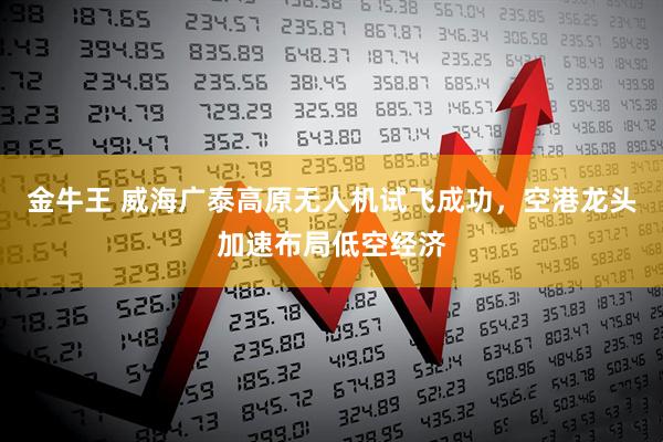 金牛王 威海广泰高原无人机试飞成功，空港龙头加速布局低空经济