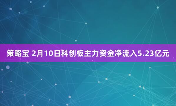 策略宝 2月10日科创板主力资金净流入5.23亿元