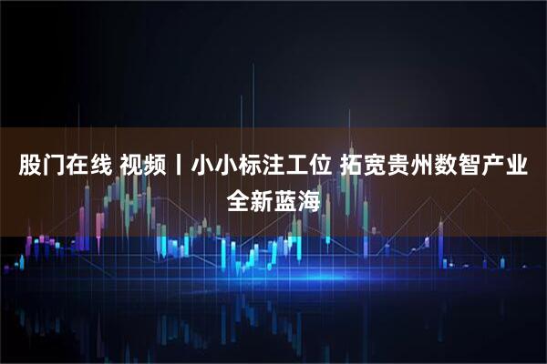 股门在线 视频丨小小标注工位 拓宽贵州数智产业全新蓝海
